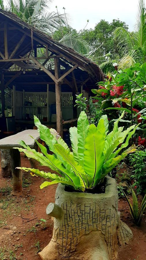 Travis Post Homestay Siquijor Dış mekan fotoğraf