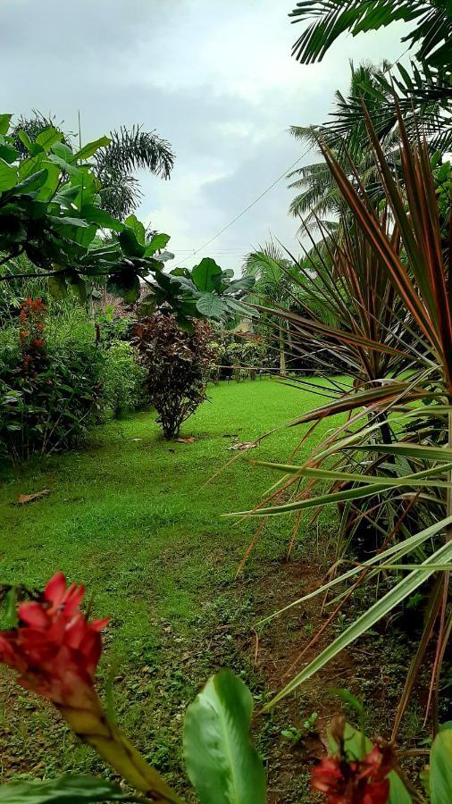 Travis Post Homestay Siquijor Dış mekan fotoğraf