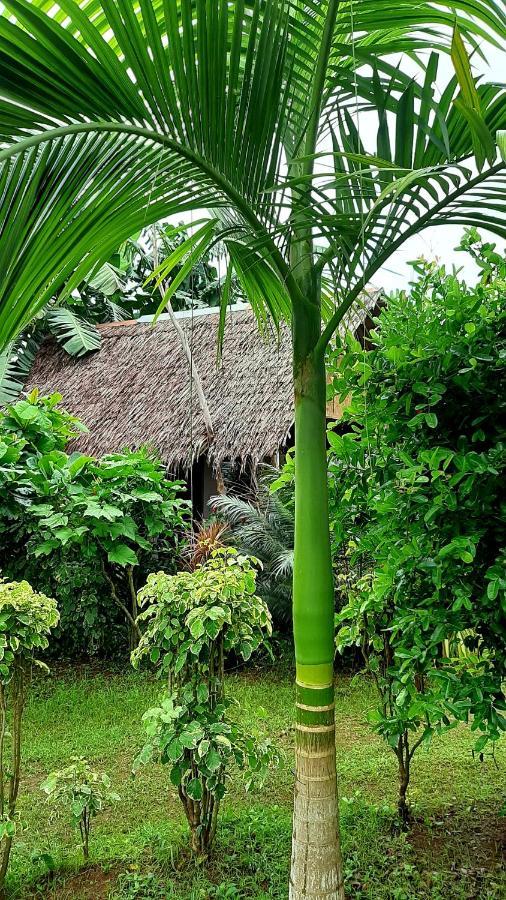 Travis Post Homestay Siquijor Dış mekan fotoğraf