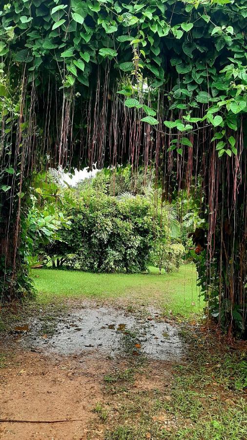 Travis Post Homestay Siquijor Dış mekan fotoğraf